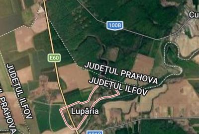 Teren Construcții intravilan de 2161 mp, în Ciolpani