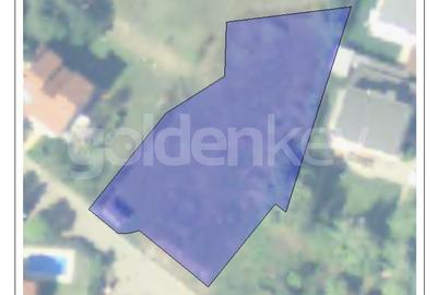 Teren Construcții intravilan de 1774 mp, în Iancu Nicolae