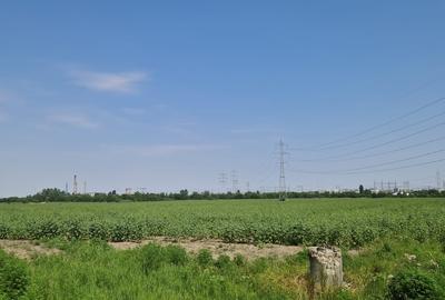 Teren intravilan de Vanzare - Popești-Leordeni / Splaiul Unirii - 11