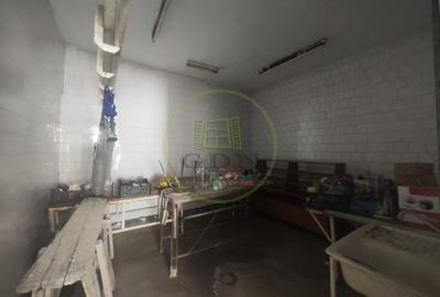 Spatiu comercial 9 camere, casa 2 camere,  teren 354 mp, Brestei. - 6