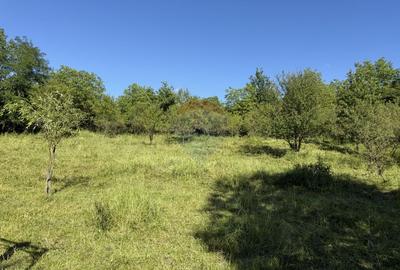 Casă de vânzare in natura la tara - Mihaesti - 32
