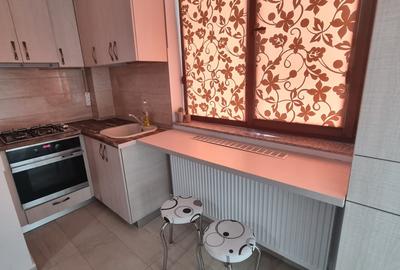 Pacurari Concept Residence, 2 camere open space, 420euro/luna - 6