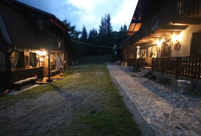 Proprietate de exceptie pe Transfagarasan,la poalele muntilor Fagaras - 8