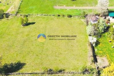 Teren intravilan de 1000 mp, în Cuejdiu