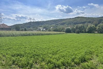 Teren intravilan 2.000 mp front 36ml Popesti Vale - 1