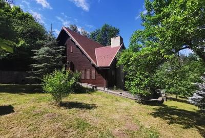 Casa de vacanta deosebita Breaza- Nistoresti - 36