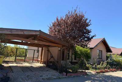 VANZARE CASA INDIVIDUALA COMPLEX TERRA/110MP UTILI/TEREN 550MP/ BALOTESTI - 31