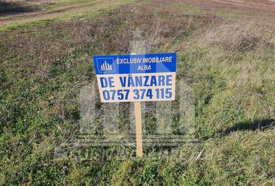 Teren agricol extravilan de 6250 mp, în Sântimbru