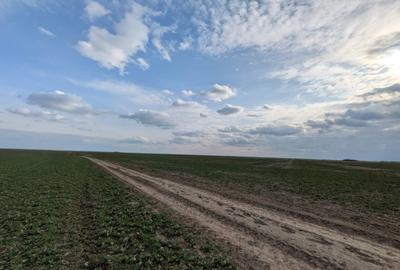 Loturi intravilane 300–500 mp, la 10 km de Centura Sud | Rate fără avans - 1