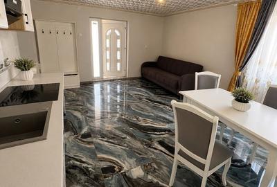 Casa renovata anul trecut  cu 1100 mp de teren in localitatea Les - 5