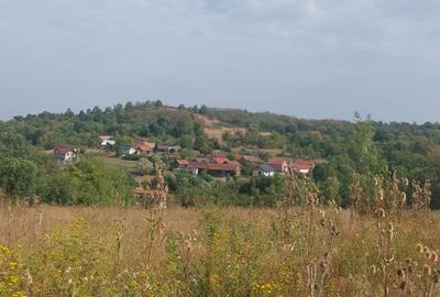 Loc de casa -Sistarovat - 4