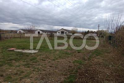 Afacere si locuinta cu teren de 1450 mp de vanzare in Rausor - 4