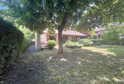 Casă deosebită 5 camere – grădină matură - 41
