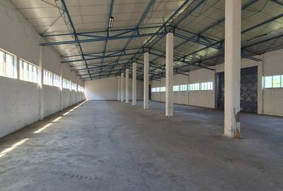 Spațiu Industrial și Logistic - 15