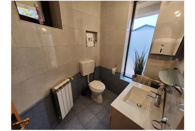 🏡 DE ÎNCHIRIAT – VILĂ S+P+E | TAKE IONESCU - 348 - 11