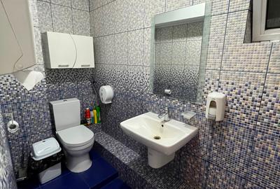 Clădire de Birouri / Spațiu Commercial 662 mp Utili de Închiriat – Sector 2, - 18