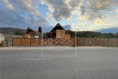 Teren Construcții intravilan de 1186 mp, în Gura Râului