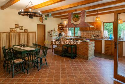 La Dolce Vita-casa vintage/moderna-Somesul Rece - 5
