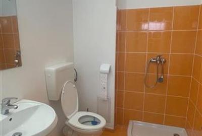 Iancului birou 32 mp luminos si modern, in vila - 3