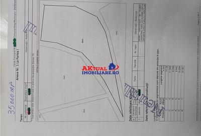 Vanzare teren 35.000mp Stefanesti -Arges-Comision 0% - 2