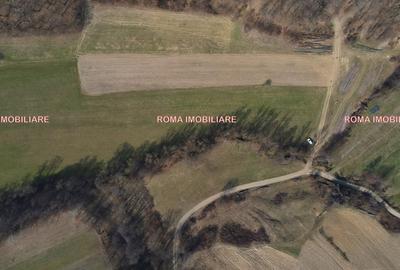 Teren superb de vânzare în Dumbrăvița – 3.750 mp - 10