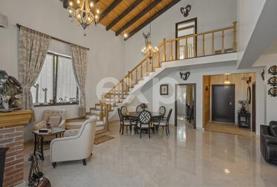 Refugiu urban în București: vilă elegantă, grădină matură și finisaje de lux - 9