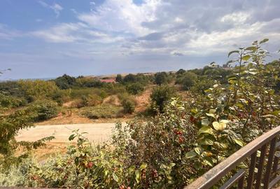 EXCLUSIV - OCAZIE ! EFORIE SUD VILA D+P+1E+M SC=607 MP. TEREN=500 MP. - 22