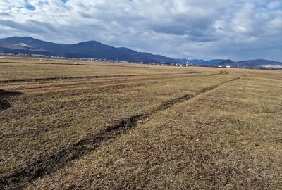 Teren agricol extravilan de 10000 mp, în Est
