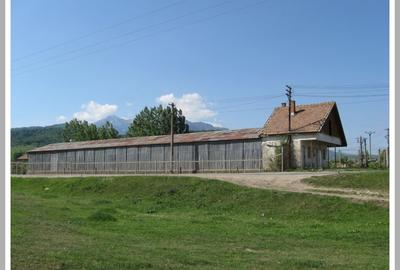 Teren de aprox. 28.864 mp si constructii, Loc. Rasnov, Jud. Brasov - 2