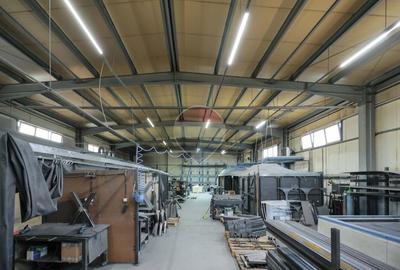 Hală în parc industrial Borș 1, teren 2.903 mp, de vânzare - 36