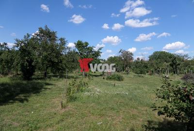 Teren intravilan | 2.810 mp|18ml|Zona Fratelia| - 3