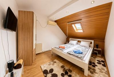 Afacere funcțională - Sală de Evenimente–Motel – Loc. Valea lui Mihai - 12