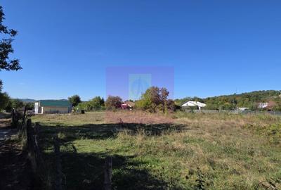 Teren Construcții intravilan de 3750 mp, în Voila
