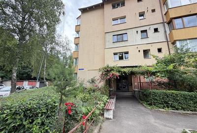 Vanzare apartament 2 camere decomandat, etaj 1, intrare Racadau - 9