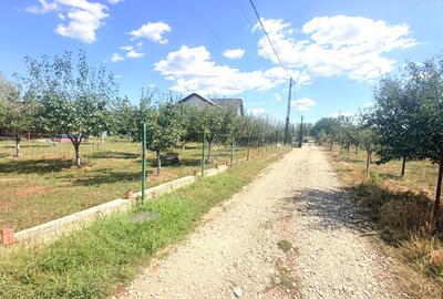 Teren de vânzare în Turcinești, 5 km de centrul municipiului Târgu Jiu - 10