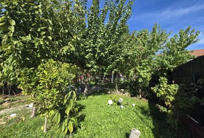 Inchiriere apartament Snagov, teren, ponton, lac - 68