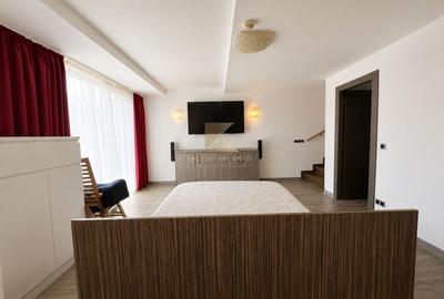 Apartament tip loft cu șemineu, situat în Silver Mountain Resort - 8