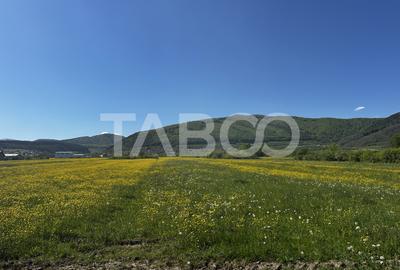Teren Construcții intravilan de 1800 mp, în Poplaca