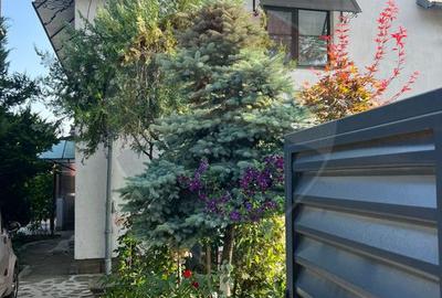 Vilă 6 camere, Păulești — vis-a-vis de parc, langa padure - 3