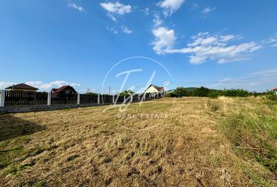 Teren intravilan pentru casa in Talmaciu - 11