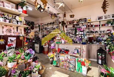 Spatiu comercial de vanzare centru Vladimirescu - 11