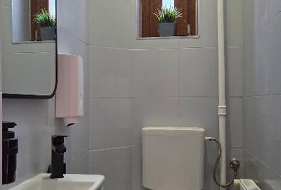 Vila birouri 375 mp, strada Plantelor zona Foisorul de Foc - 16