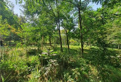 Teren intravilan - ultimul lot de 698mp in Sacel - zona lacuri - 14