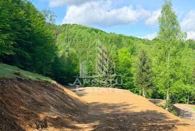 Oportunitate! Domeniu montan, cu lac propriu, oras Lupeni, Hunedoara - 26