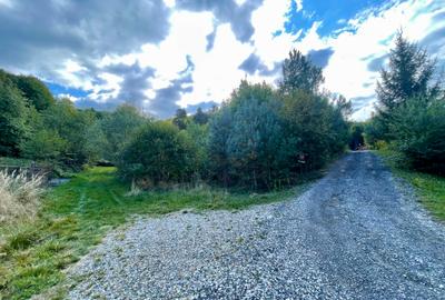 Teren intravilan 2.000 mp în Codlea, zonă verde | 9 min de E68 | 24 €/mp - 3