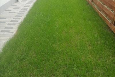 Vanzare casa tip duplex - 9