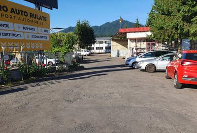 Hala industriala de inchiriat pe Calea Bucuresti folosinta multipla - 5