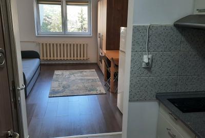 Garsonieră semidecomandată în Gruia