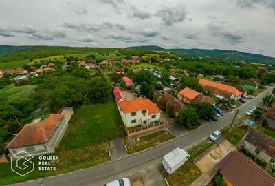 Afacere la cheie: Pensiune functionala sau casa de locuit, Ghioroc - 41