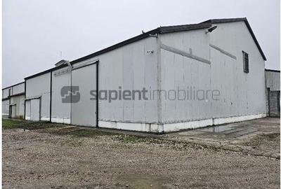Proprietate industrială  Platformă logistică de vânzare în Tinca - 3